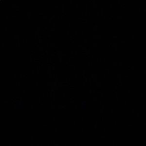 Meet your Posher, Nicholas